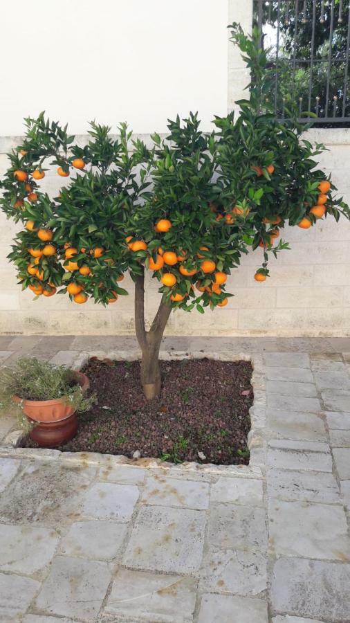 B&B Il Mulino Del Monastero กอนแวร์ซาโน ภายนอก รูปภาพ